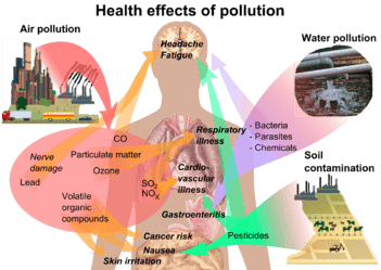 351px-health_effects_of_pollution