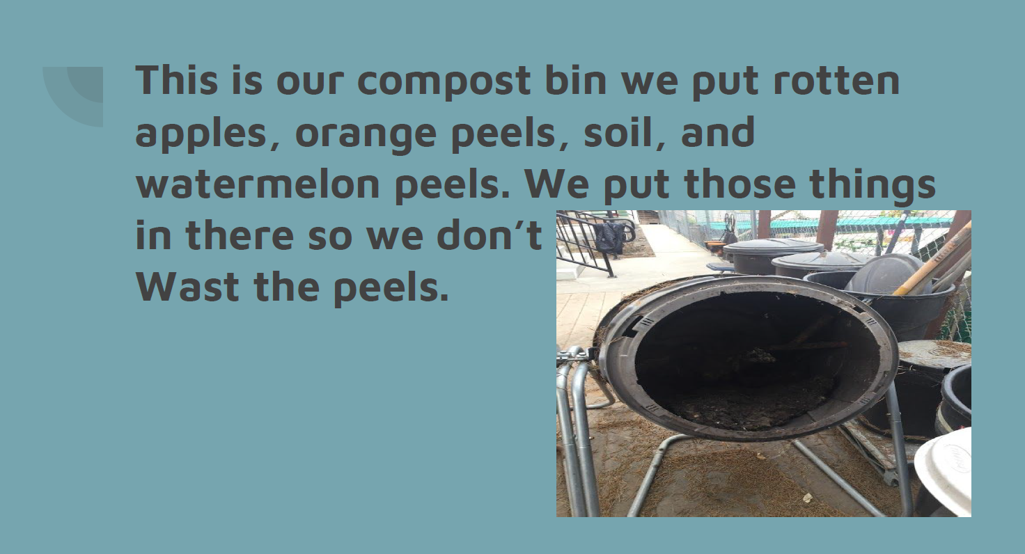 USA.Compost